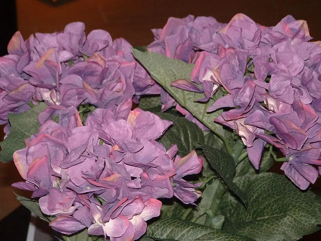 B&B Primaclasse Catania Guest house